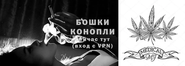 mix Белокуриха
