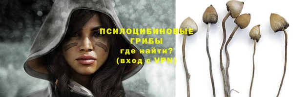mix Белокуриха