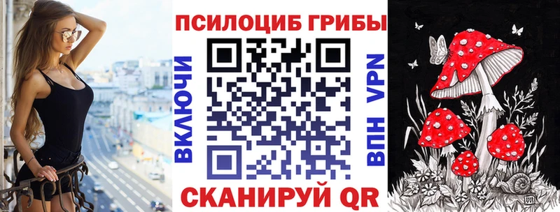 Псилоцибиновые грибы MAGIC MUSHROOMS  наркота  Кубинка 